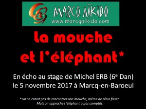 couverture du montage "la mouche et l'éléphant"