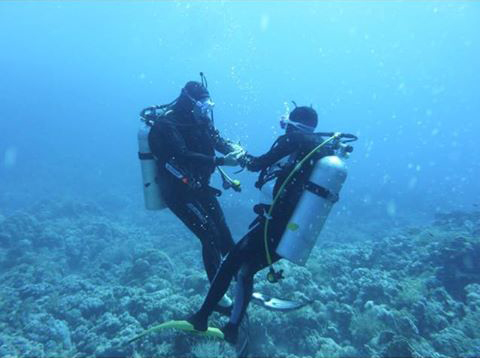 Coucou d Égypte une photo de plongée en Mer Rouge "Scuba* Shiho nage" ou "scuba Rockn’ tools" ????